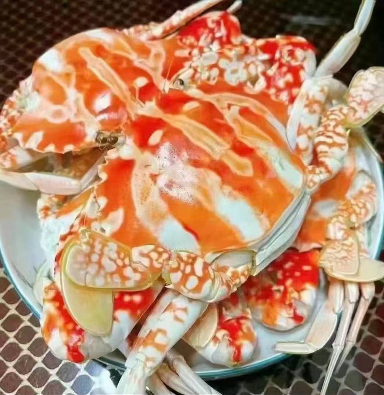 Premium Live Red Flower Crab | Jumbo 500g-1.5kg | 3X Money-Back Quality Guarantee